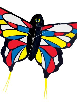 Beautiful Butterfly Kite