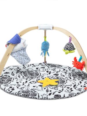 Ocean Easy-Fold Play Gym