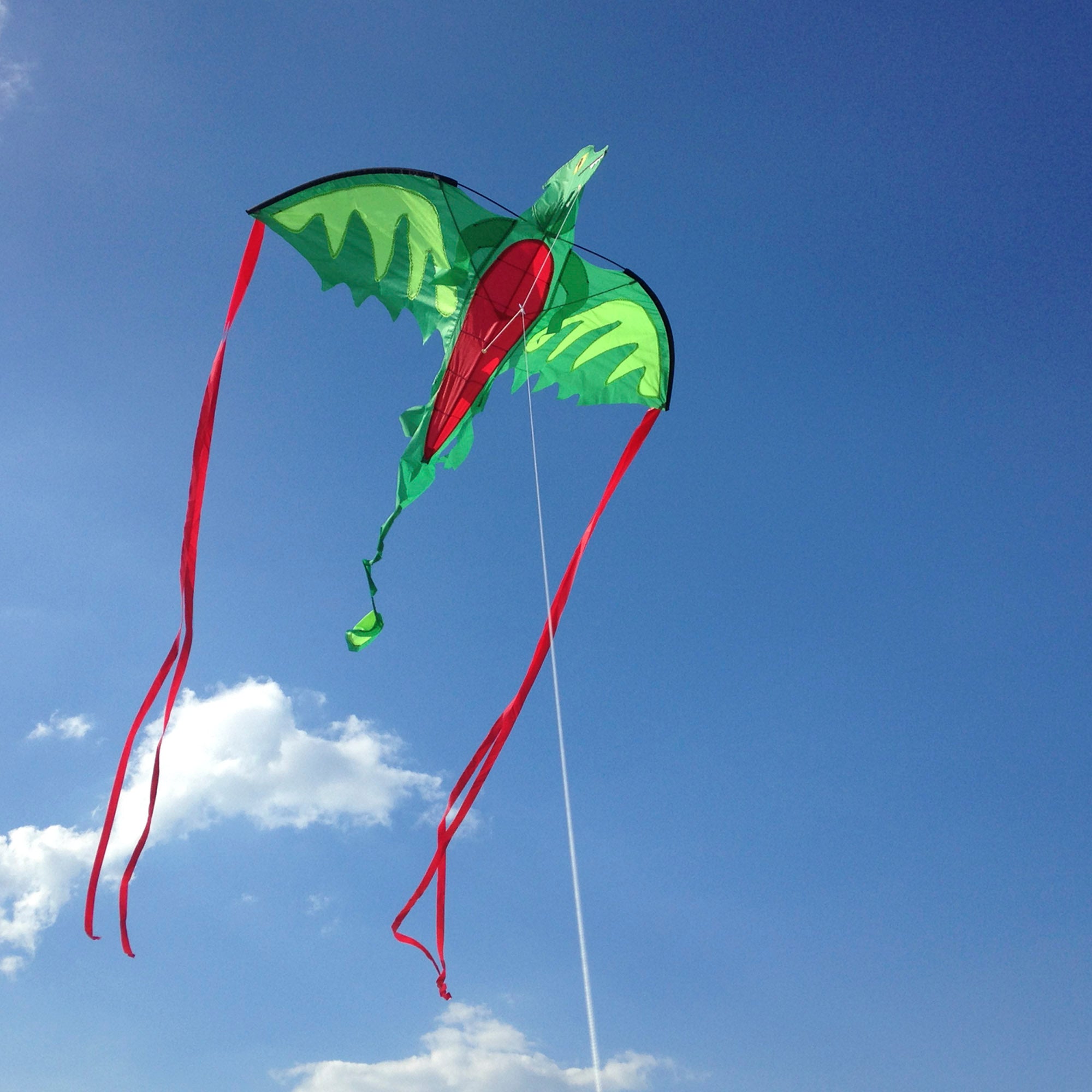 Winged Dragon Shaped Kite - Image 9