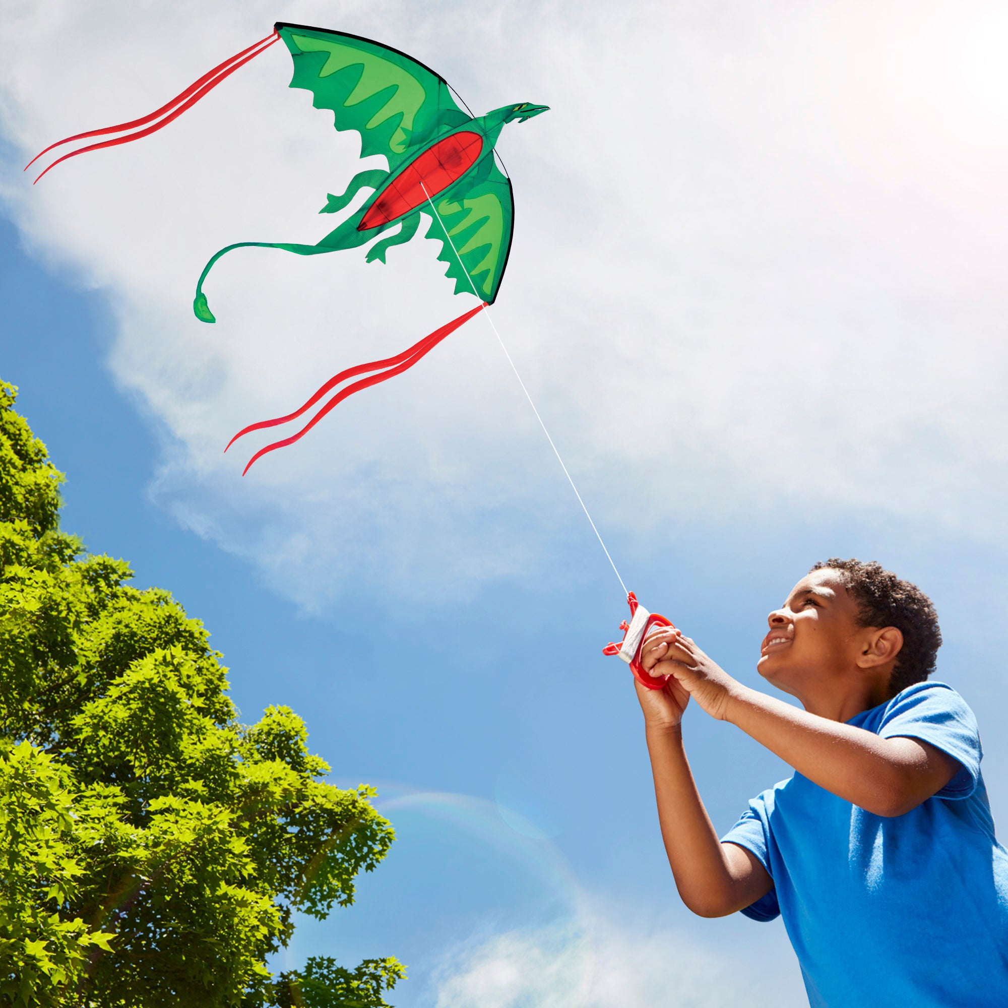 Winged Dragon Shaped Kite - Image 10