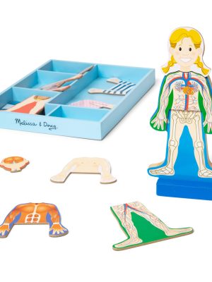 Magnetic Human Body Play Set