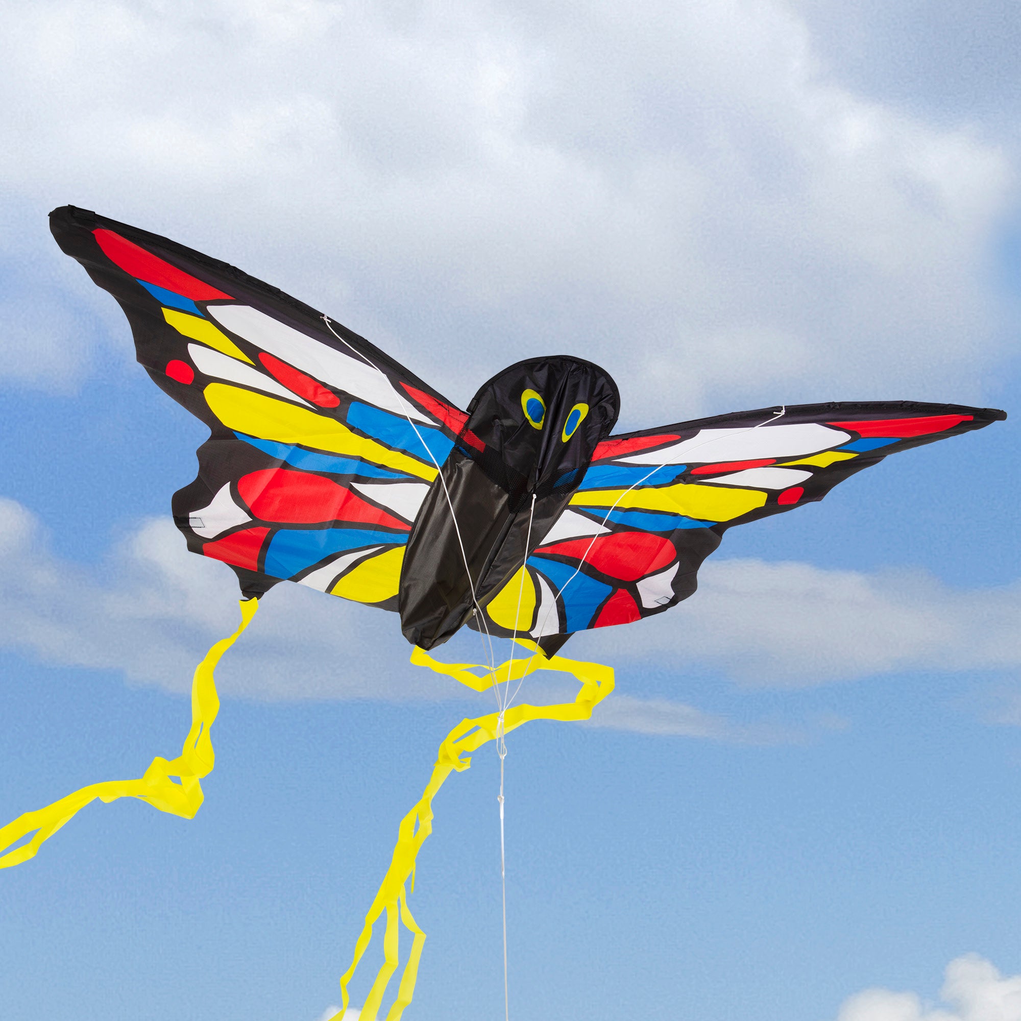 Beautiful Butterfly Kite - Image 5