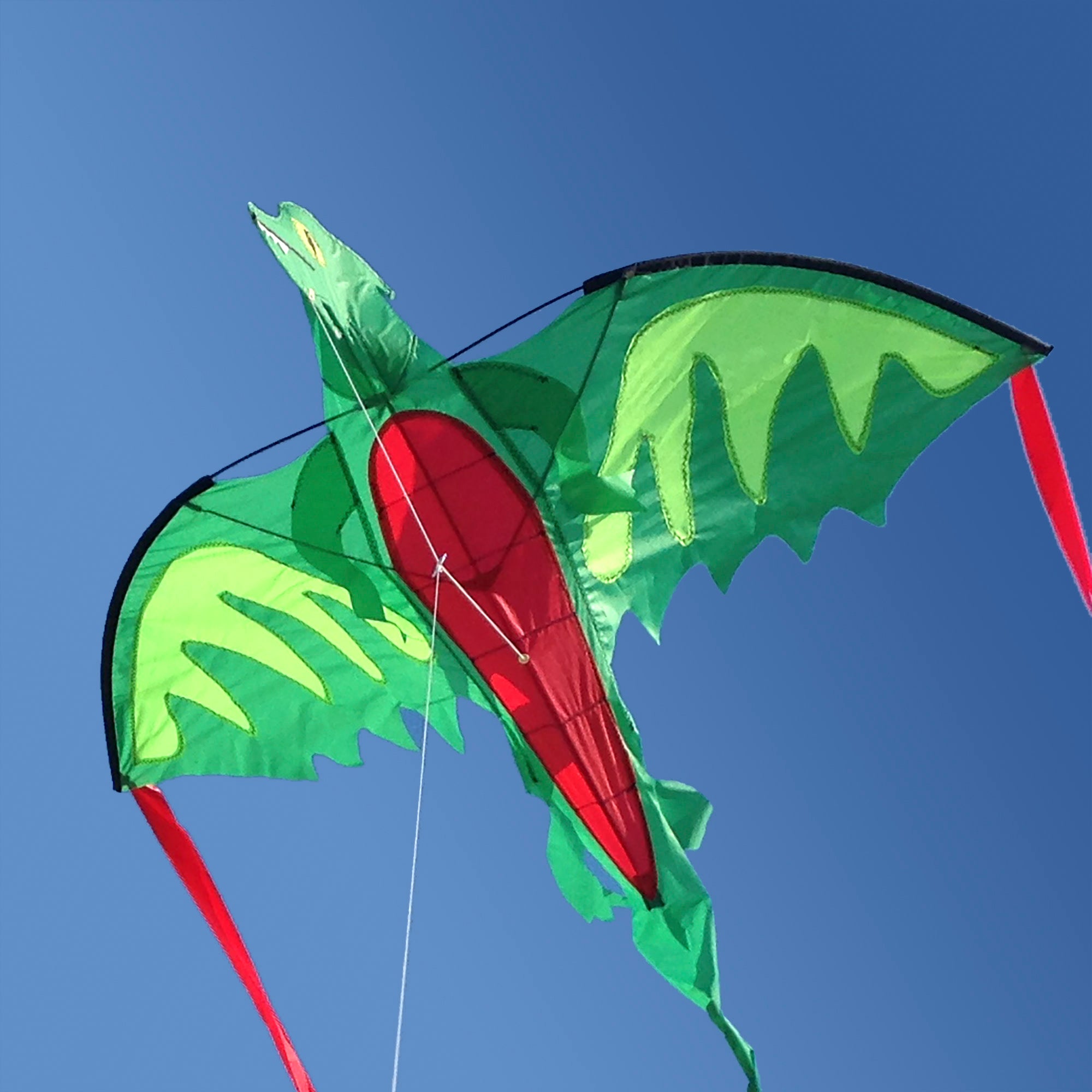 Winged Dragon Shaped Kite - Image 8