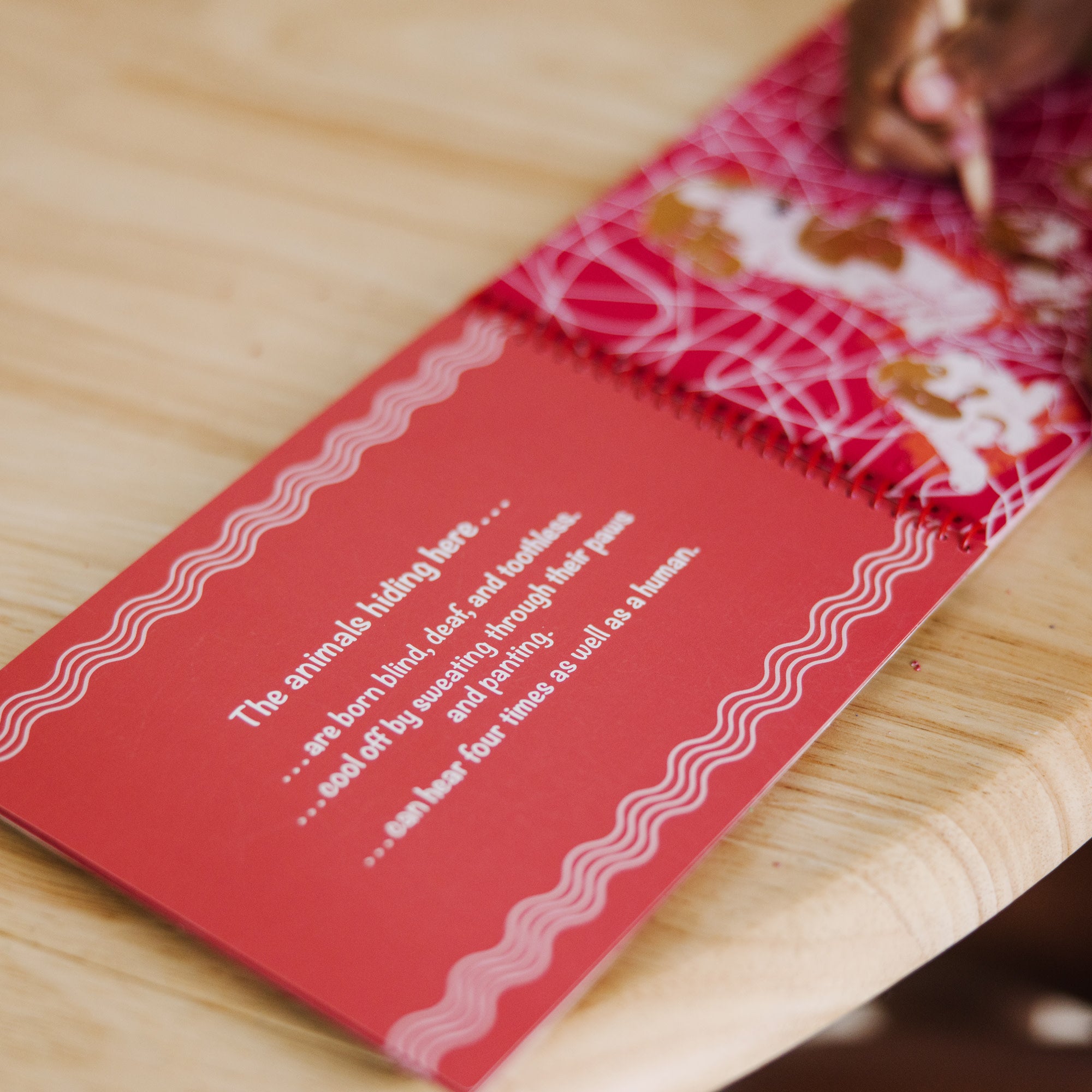 On the Go Scratch Art Color Reveal Pad - Animal Families - Image 5